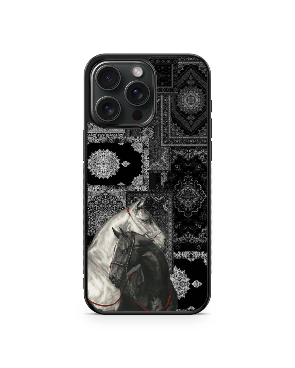 PREMIUM GLASS CASE